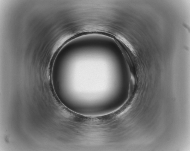 X0000099430885200805091248