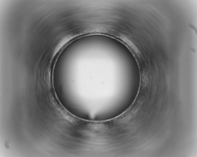X0000099430886200805091248