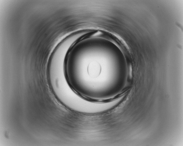 X0000099430887200805091248