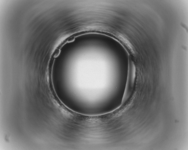 X0000099430888200805091248