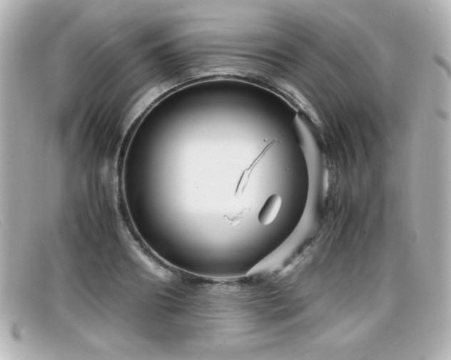 X0000099430890200805091248