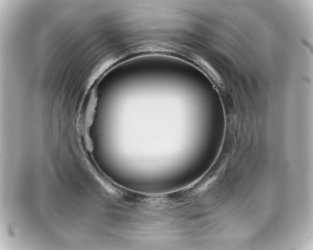X0000099430893200805091248