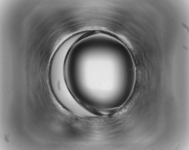 X0000099430895200805091248