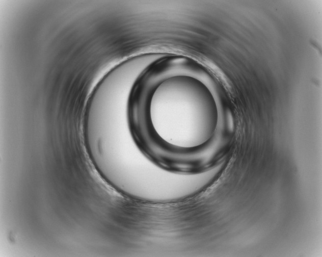 X0000099430896200805091248