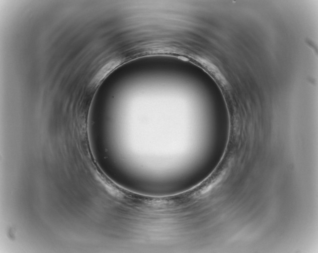 X0000099430897200805091248