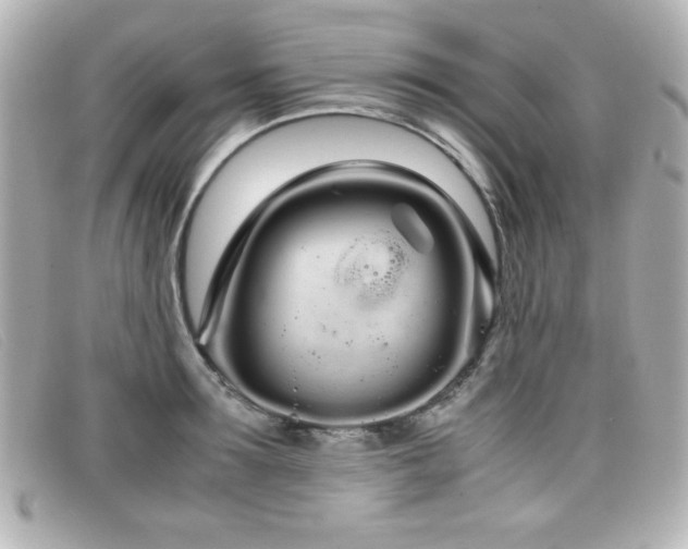 X0000099430899200805091247