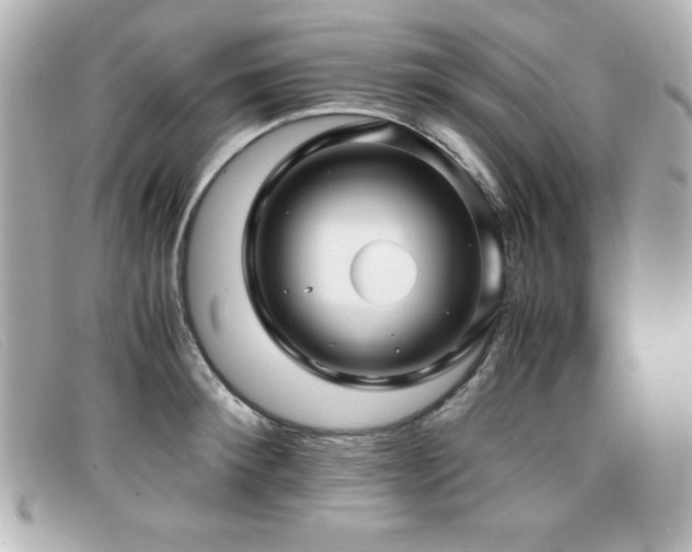 X0000099430900200805091247
