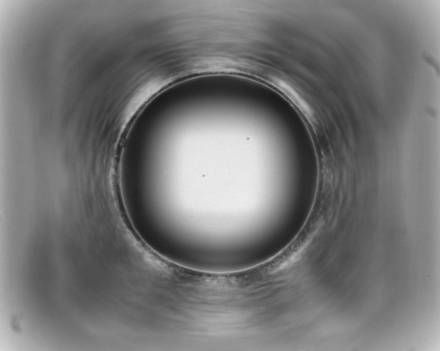 X0000099430901200805091247