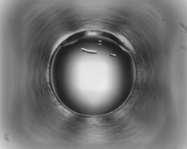 X0000099430904200805091247