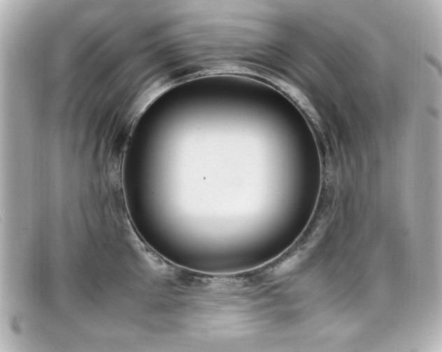 X0000099430905200805091247
