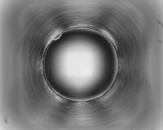 X0000099430906200805091247
