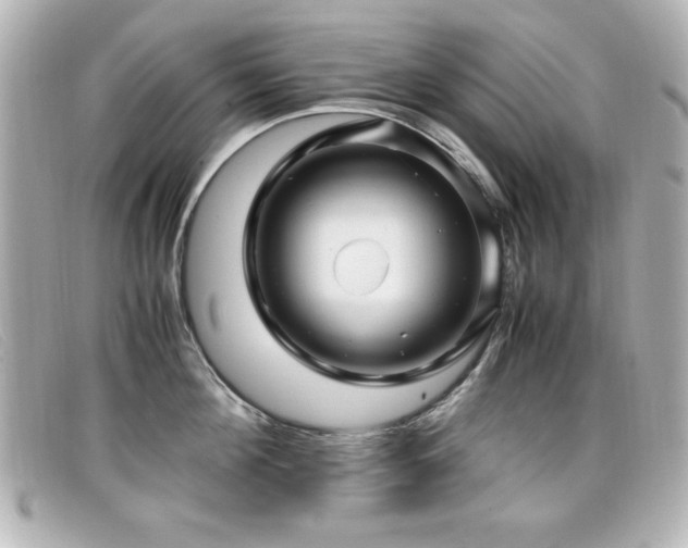 X0000099430908200805091247