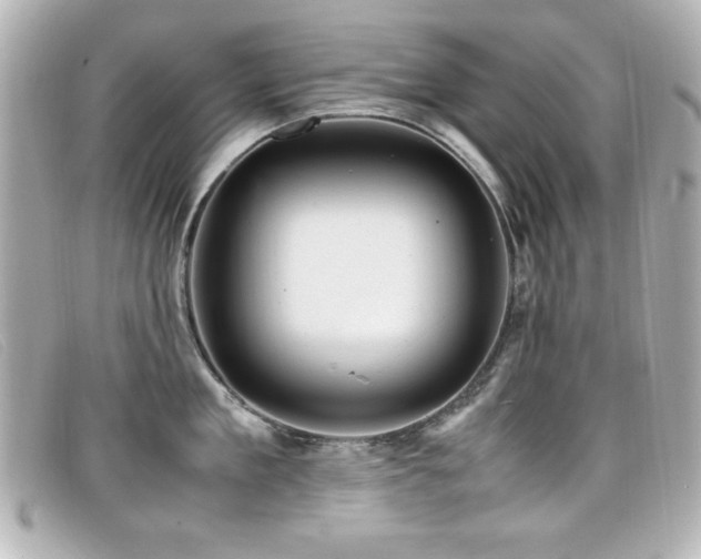 X0000099430909200805091247