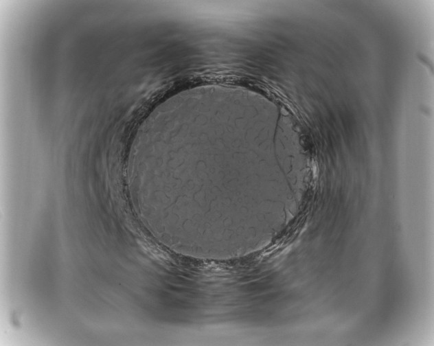 X0000099430913200805091247