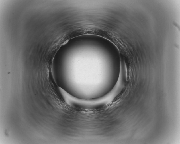 X0000099430916200805091247