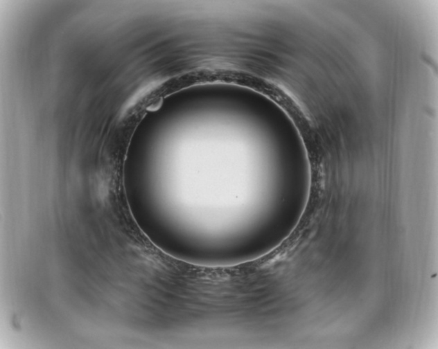 X0000099430919200805091247