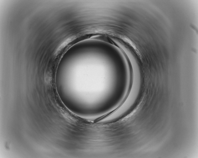 X0000099430922200805091247