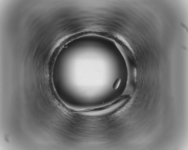X0000099430923200805091247
