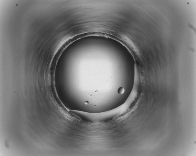 X0000099430924200805091247