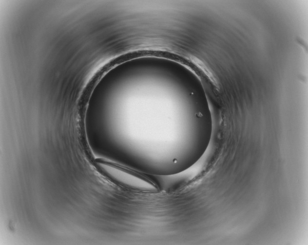 X0000099430926200805091247