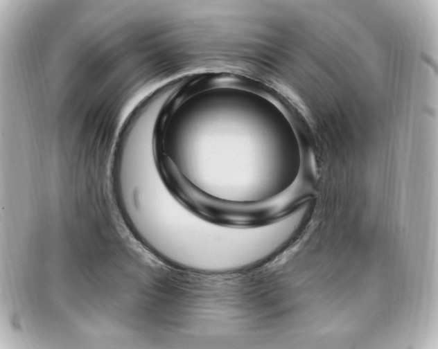 X0000099430928200805091247