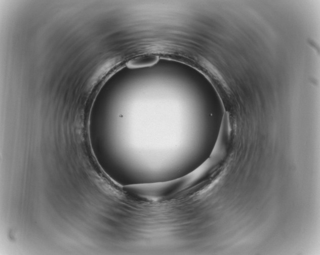 X0000099430930200805091247