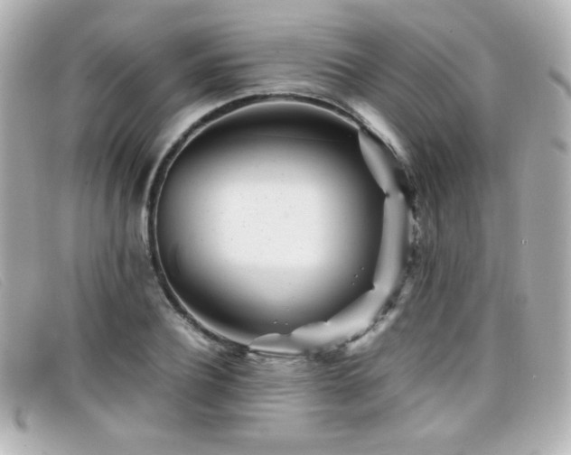 X0000099430932200805091247