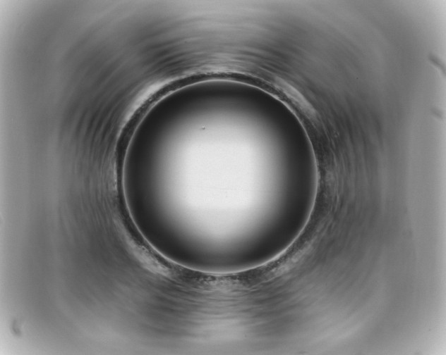 X0000099430934200805091247