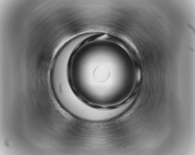 X0000099430936200805091247