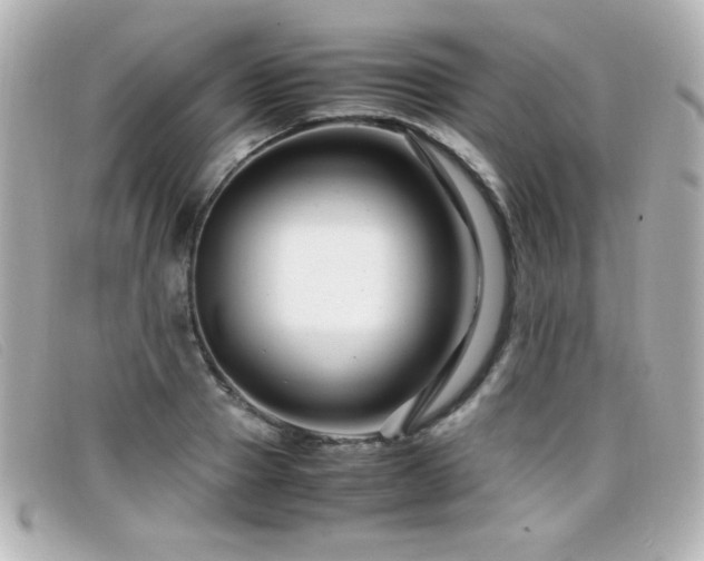 X0000099430937200805091247
