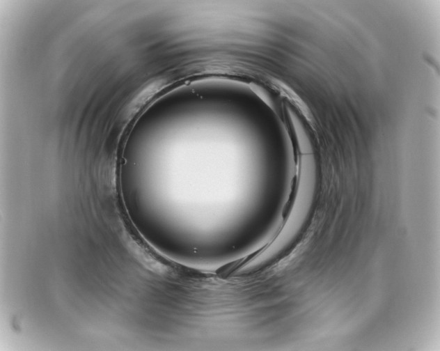 X0000099430938200805091247