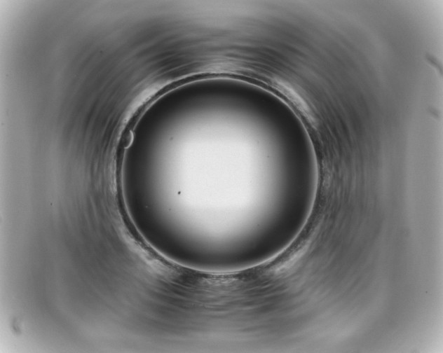 X0000099430939200805091247