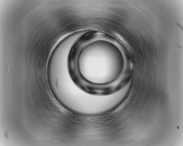 X0000099430940200805091247