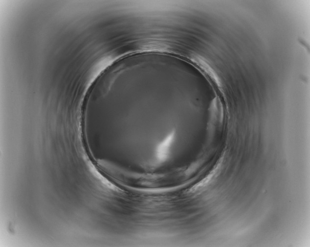 X0000099430941200805091247