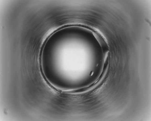 X0000099430943200805091247