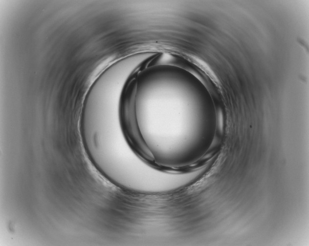 X0000099430946200805091247