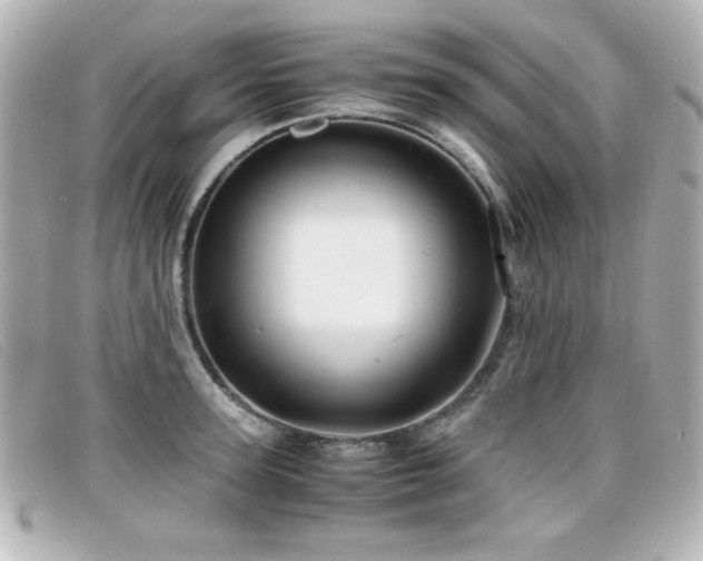 X0000099430947200805091247
