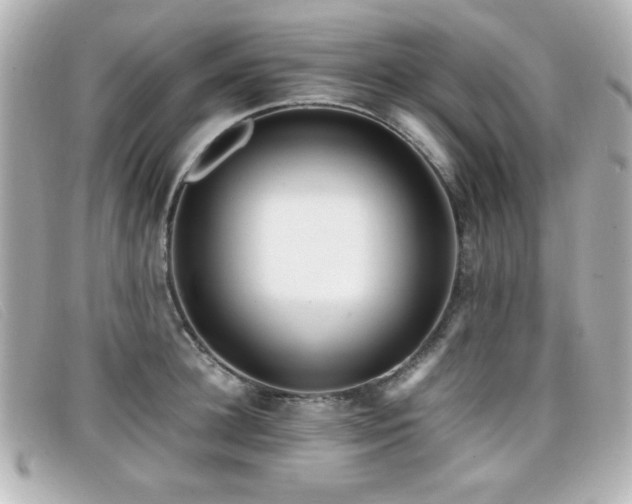 X0000099430948200805091247