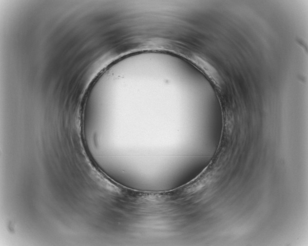 X0000099430950200805091247