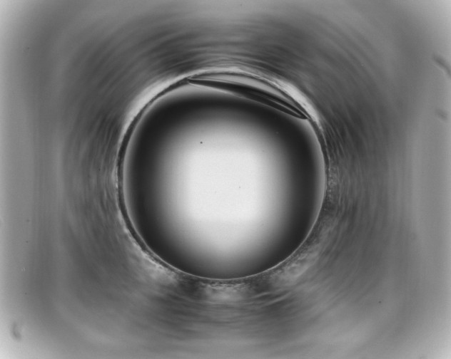 X0000099430951200805091247