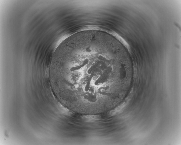 X0000099430953200805091247