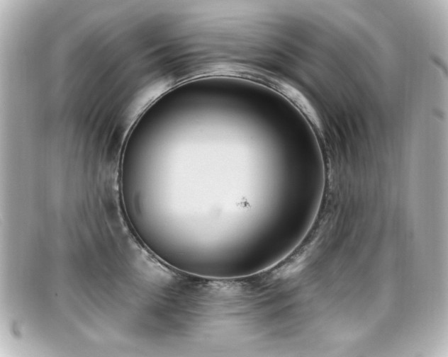 X0000099430954200805091247