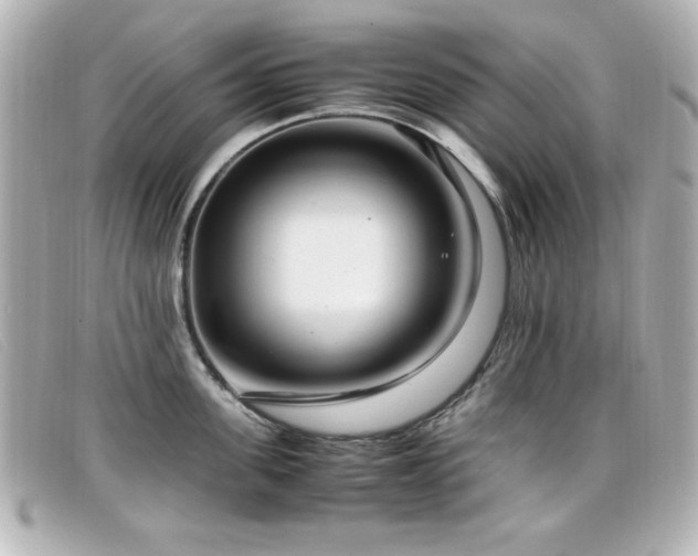 X0000099430955200805091247