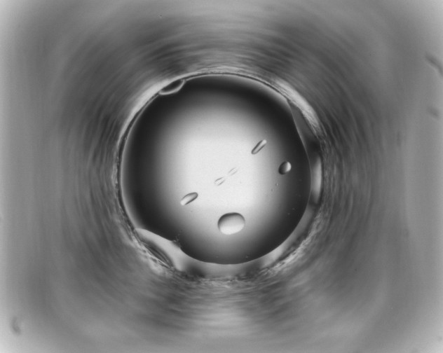 X0000099430956200805091247