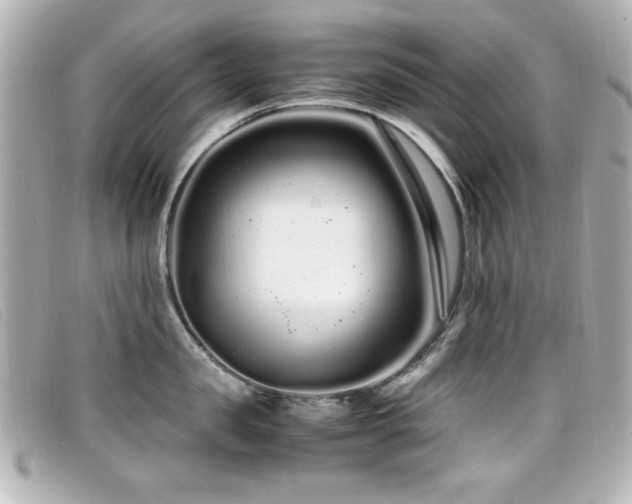 X0000099430957200805091247