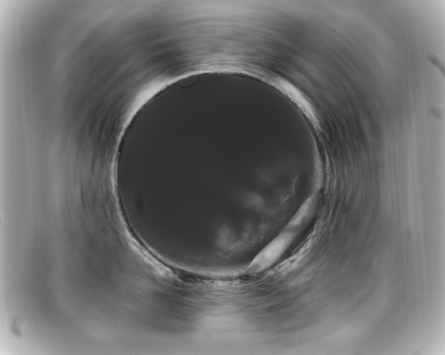 X0000099430958200805091247