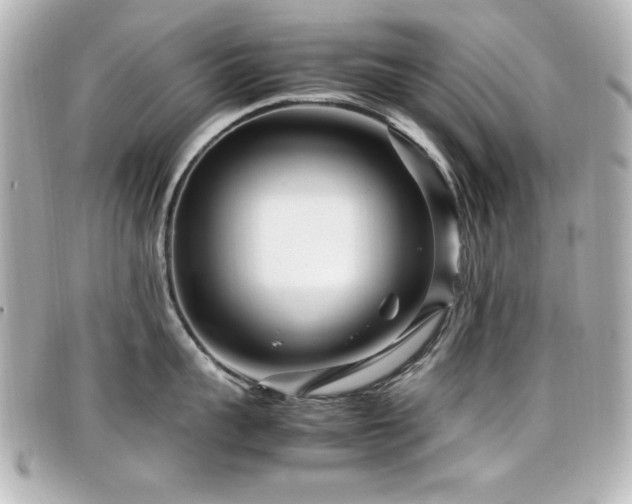 X0000099430959200805091247