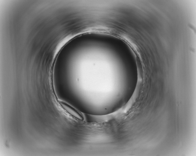 X0000099430960200805091247
