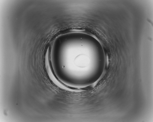 X0000099430961200805091247
