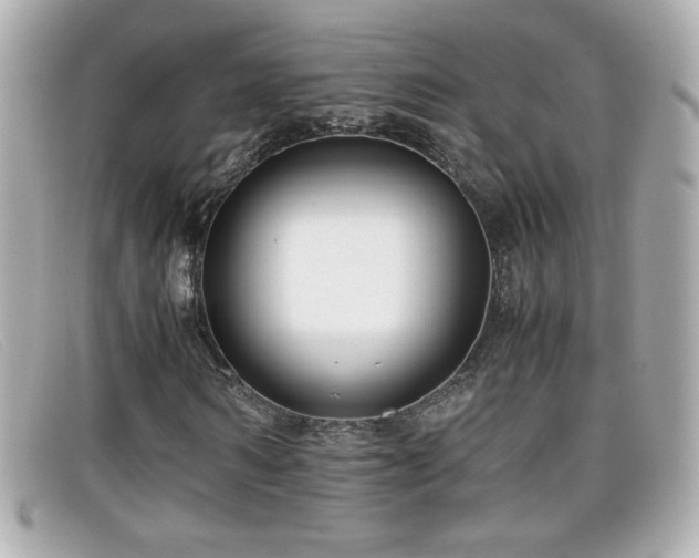 X0000099430962200805091247